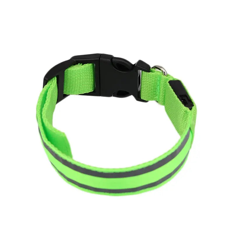 Green dog collar with reflective strip on a white background