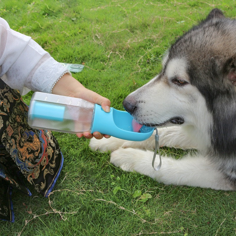 Person holding a blue pet water bottle for a dog to drink from on grass