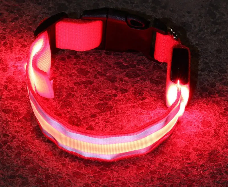 Red LED dog collar glowing on a dark background
