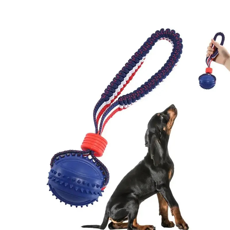 Dog toy with a blue ball and red and blue handle, held by a dog on a white background