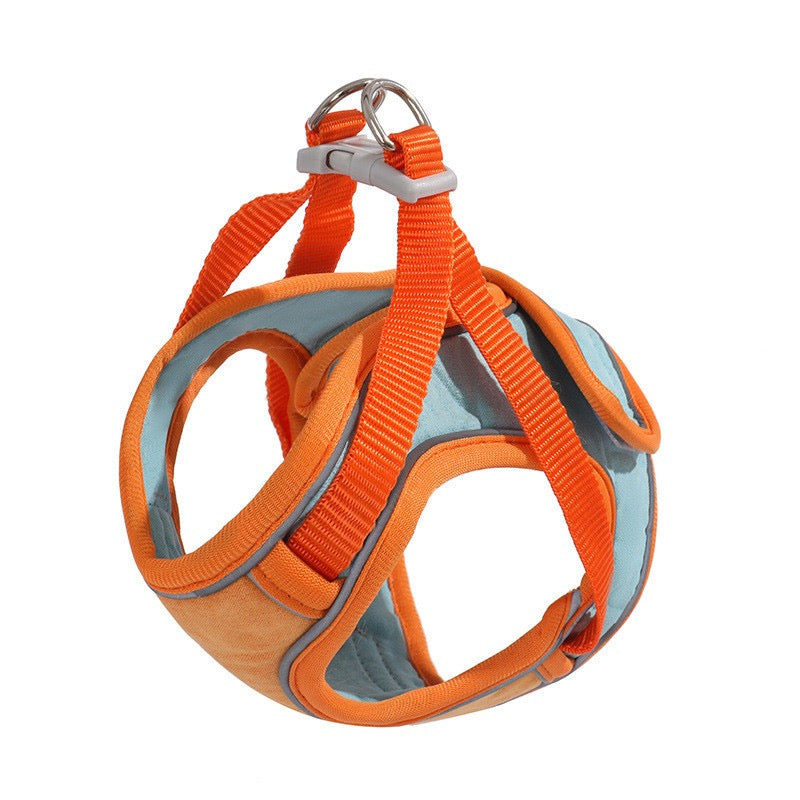 Orange cat harness with reflective material on a white background