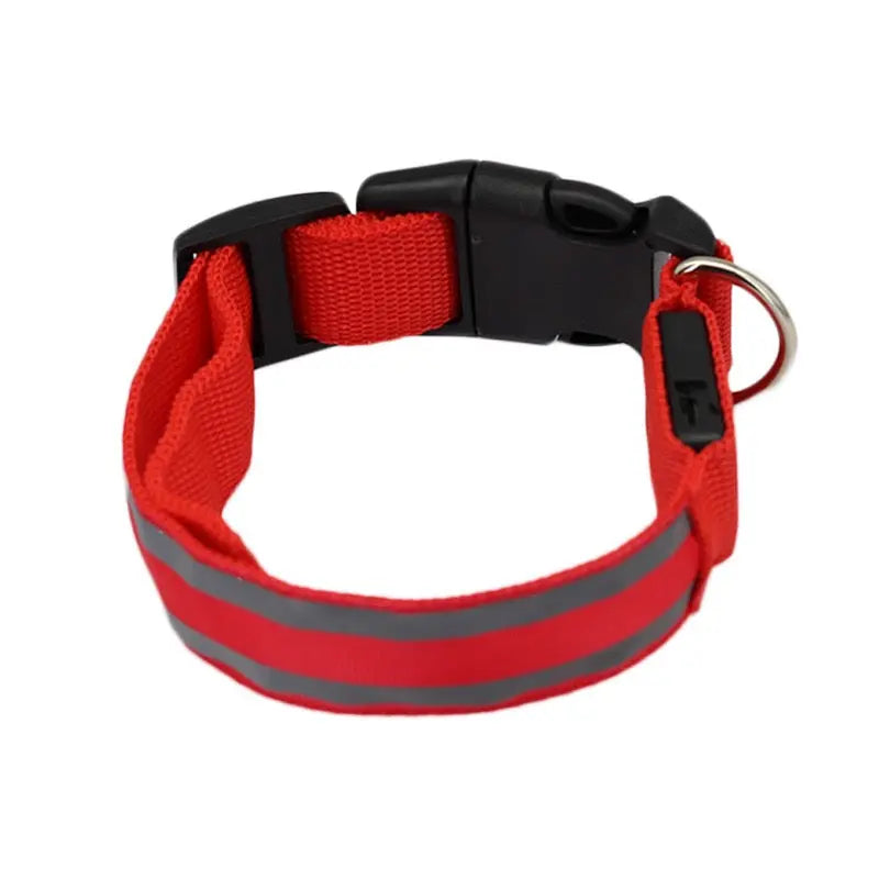 Red dog collar with reflective strip on a white background