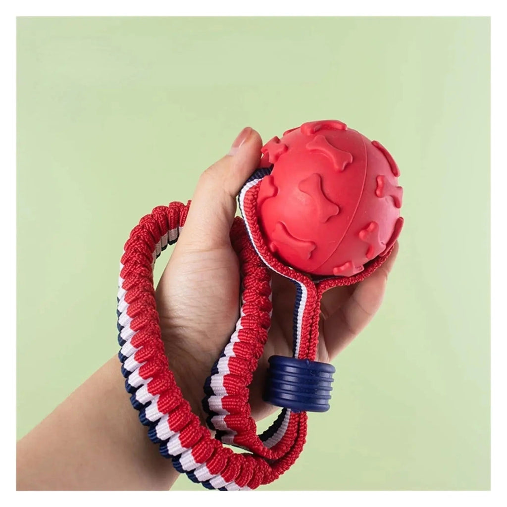 Red dog toy with a rope held in a hand against a light green background