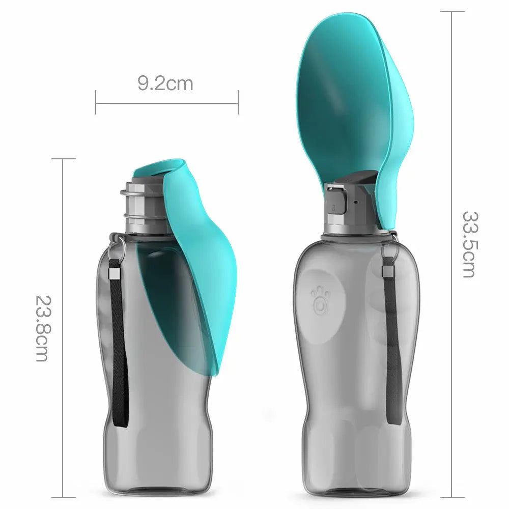 Gray water bottle with teal accents and spoon, shown with measurements on a white background