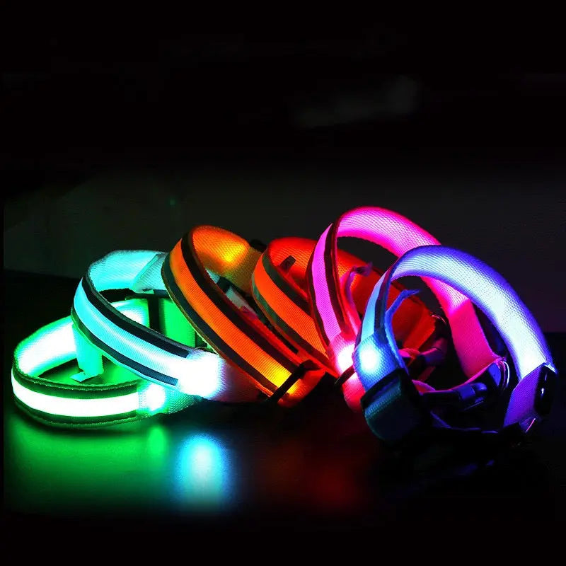 Colorful LED dog collars on a dark background