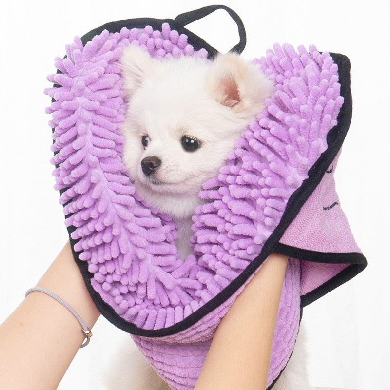 Small white dog wrapped in a purple towel with black edges