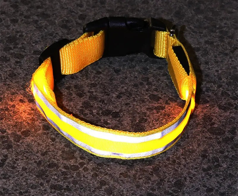 Yellow reflective dog collar on a dark textured surface