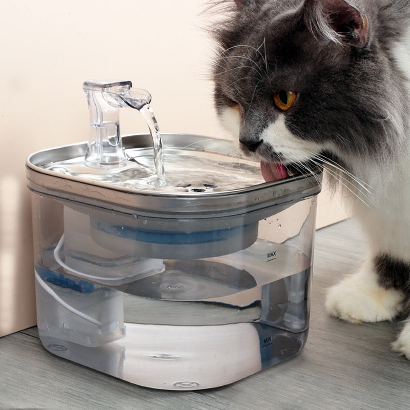 Cat drinking water from a modern pet water fountain on a wooden floor.