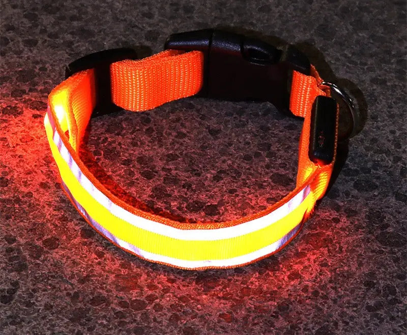 Reflective dog collar with LED lights on a textured surface