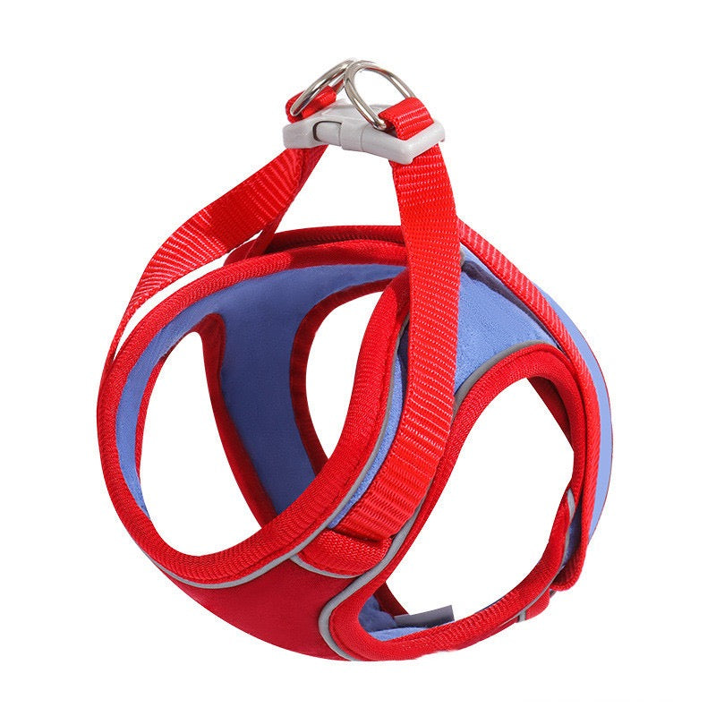 Red and blue dog harness on a white background