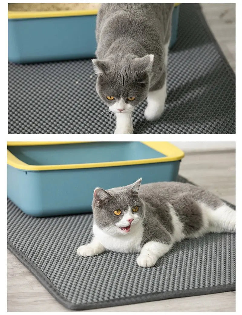 Cat interacting with a gray mat with a blue litter box on a wooden floor.