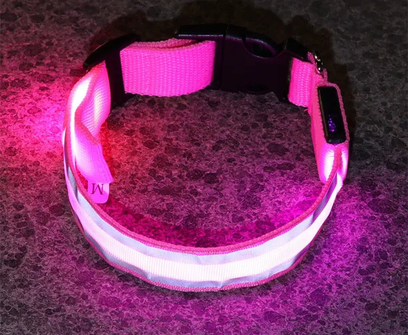 Pink LED dog collar on a dark textured surface