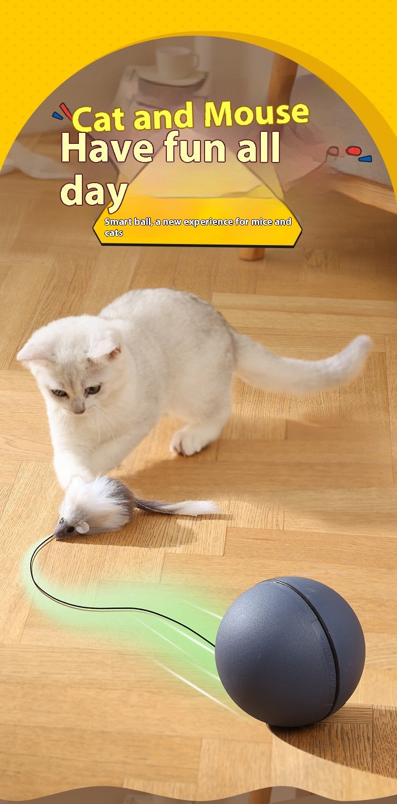 Cat playing with a toy on a wooden floor, with text 'Cat and Mouse Have fun all day' at the top.