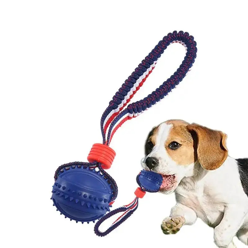 Dog toy with blue balls and a rope, featuring a dog on a white background