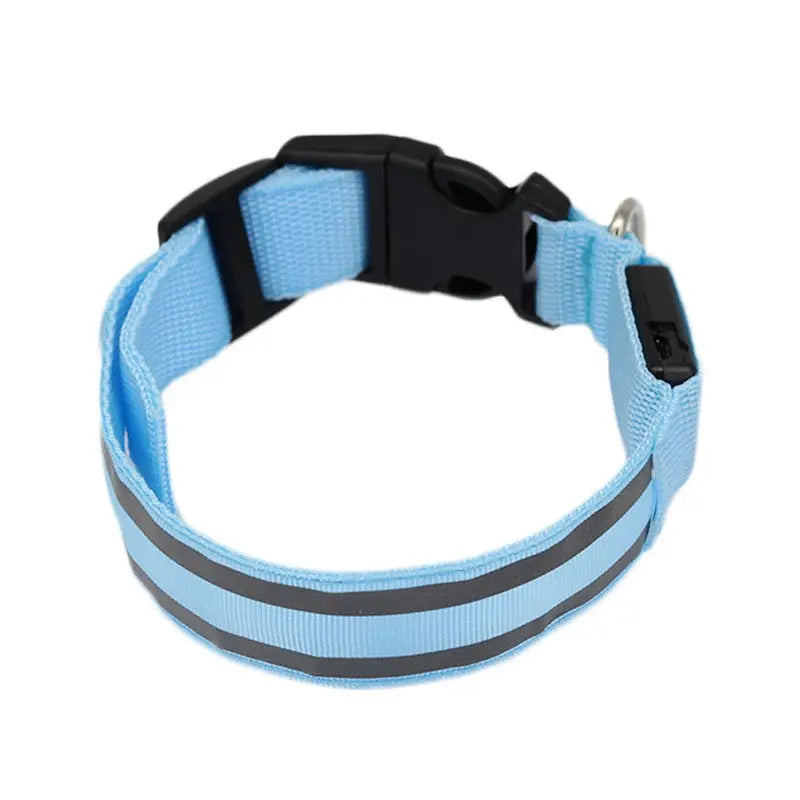 Light blue dog collar with reflective strip on a white background