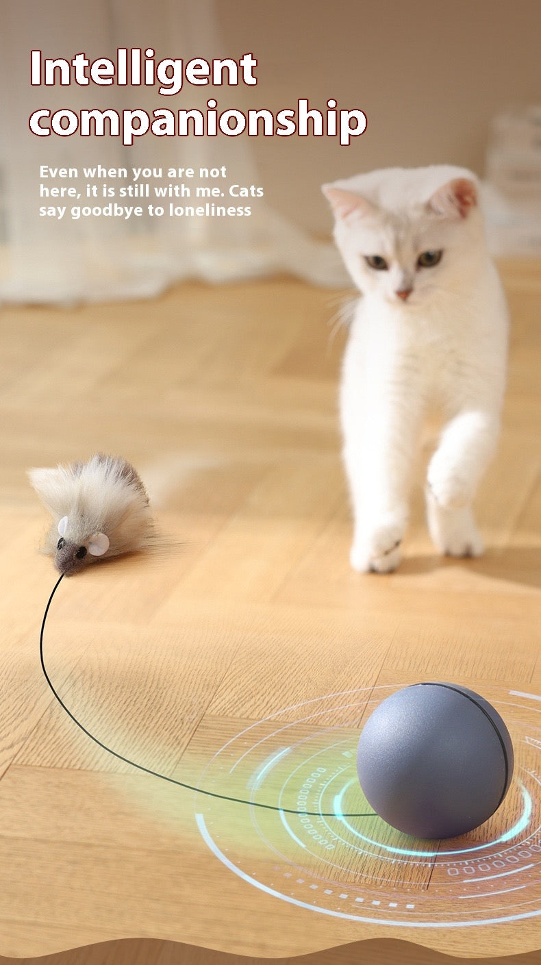 Cat playing with a toy mouse on a wooden floor