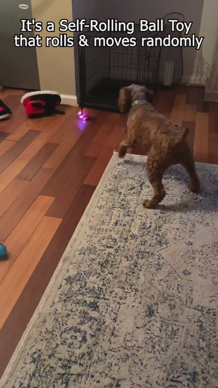Automatic Self-Rotating USB Ball for Cats & Dogs